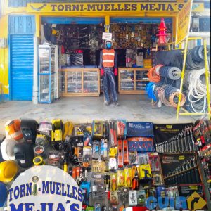 Tornimuelle Mejia Carepa