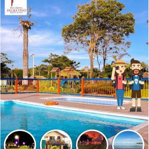 Hotel agroturistico palma vino