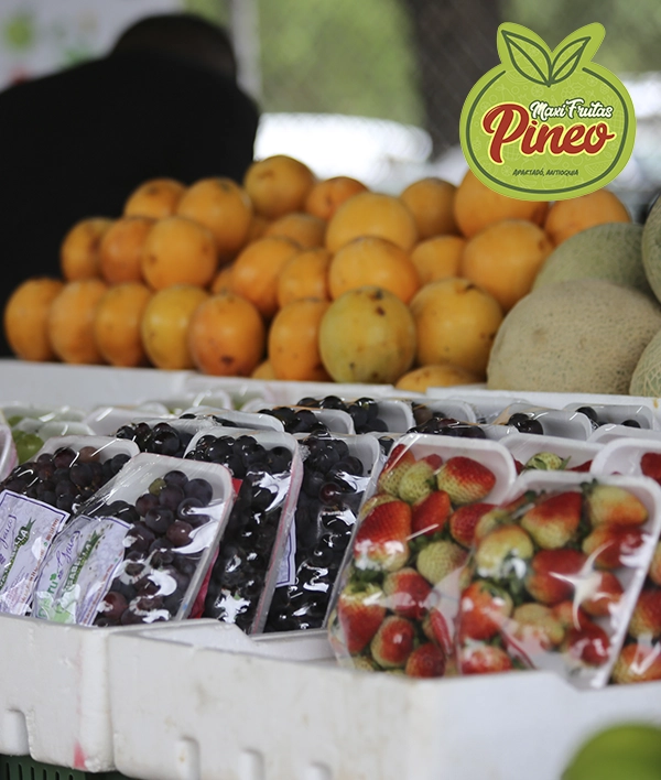 Maxifrutas Pineo - Image 3