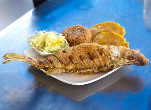 Restaurante el Palomar Apartadó