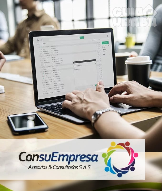 ConsuEmpresa - Asesorías DIAN