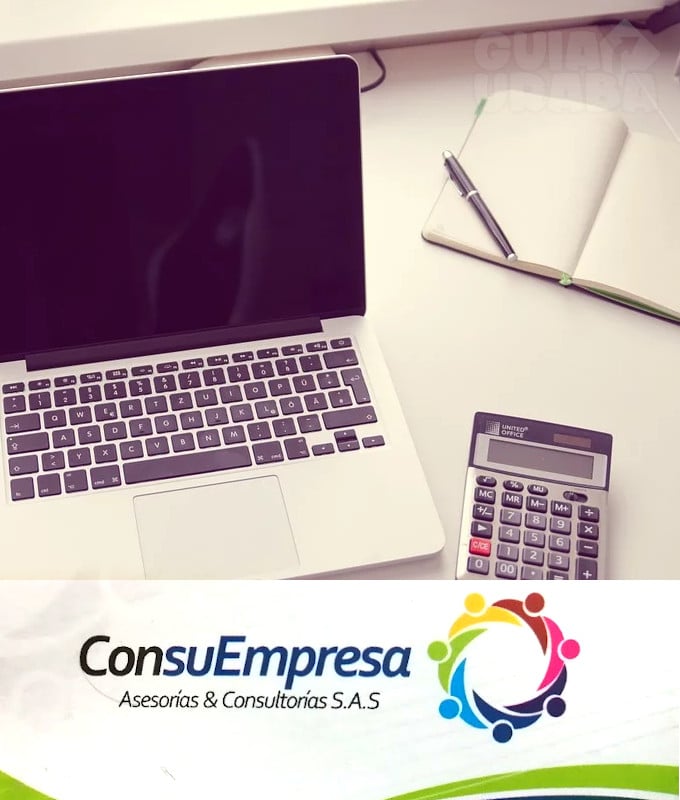 ConsuEmpresa - Asesorías DIAN
