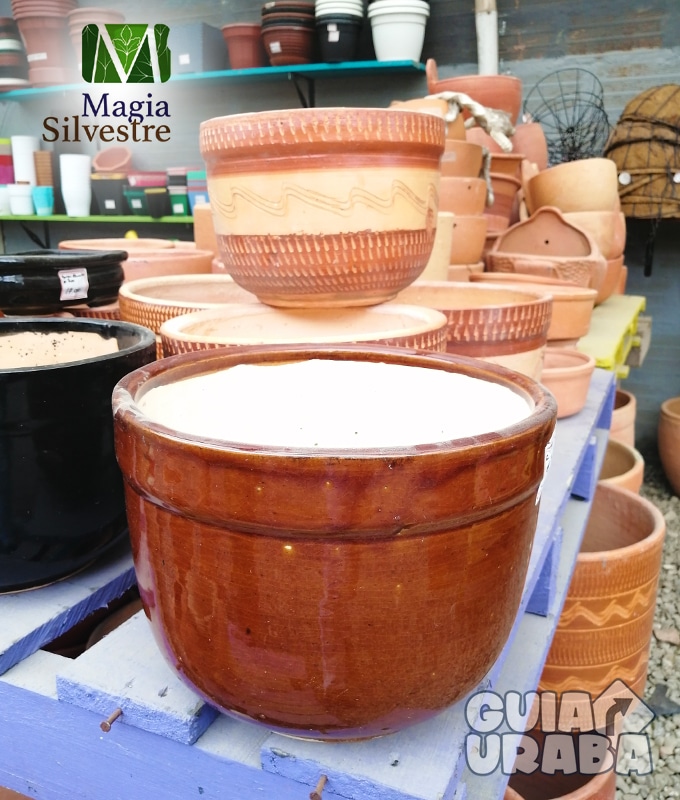 Vivero Magia Silvestre. En Urabá