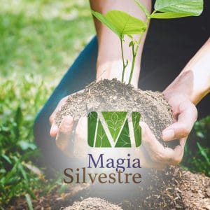 Vivero Magia Silvestre