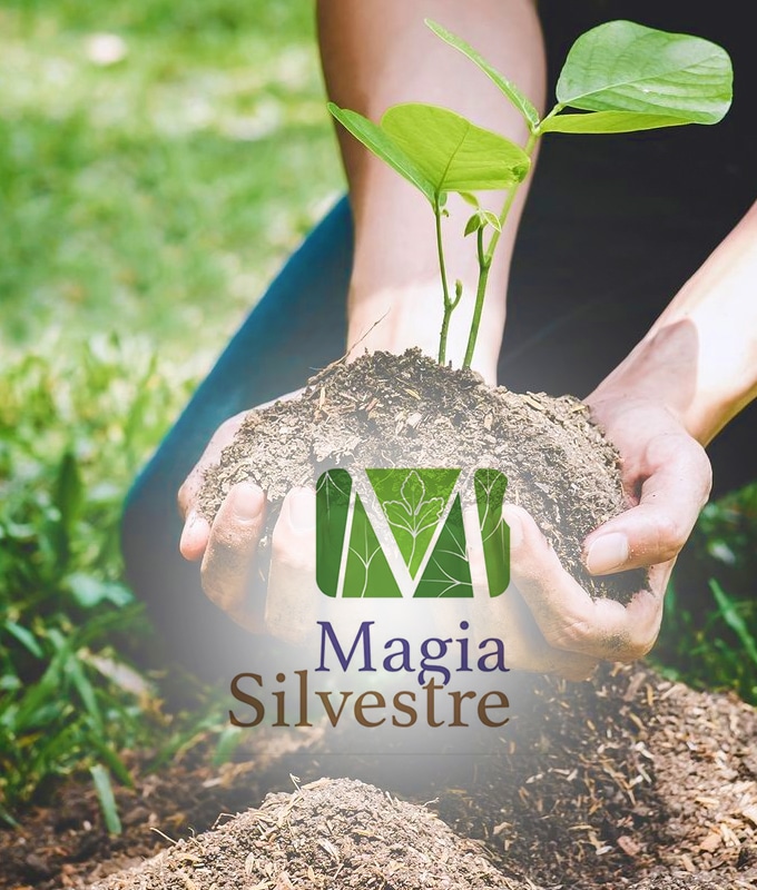 Vivero Magia Silvestre
