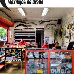 Maxilujos, polarizaado de carros