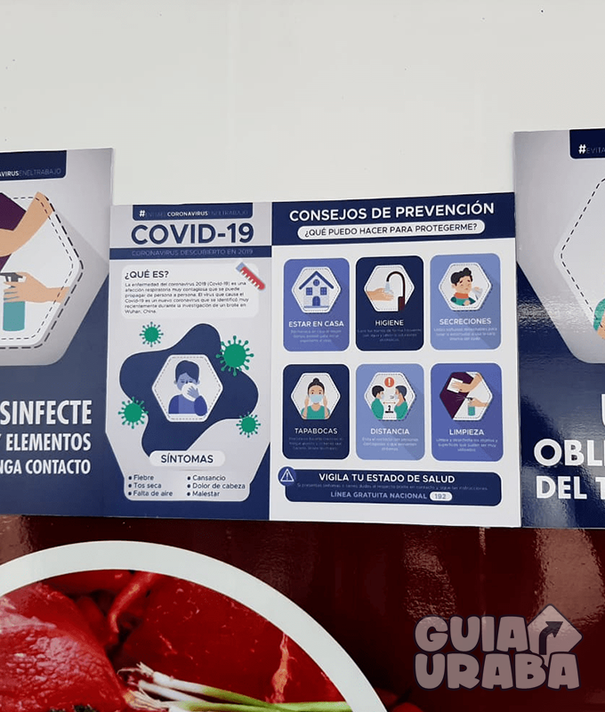 Alianza Prosst - Image 4